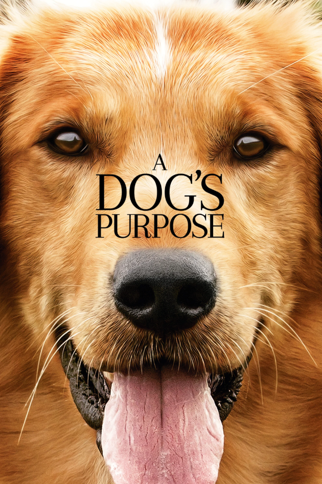 Several dogs illustrating A Dog’s Purpose
