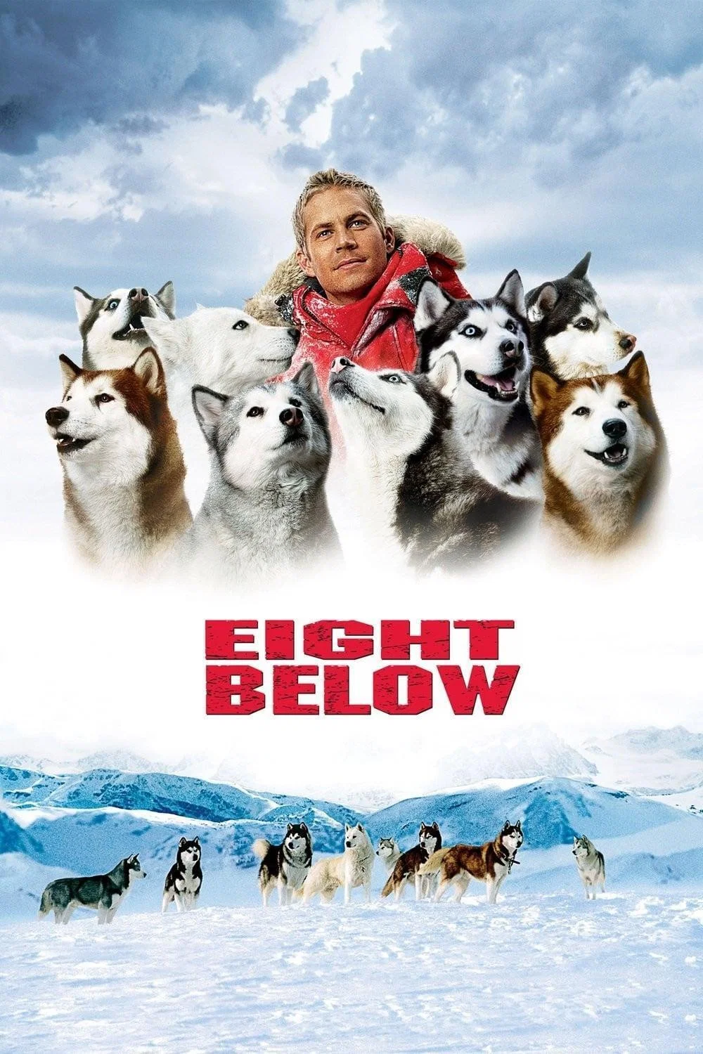 Husky in snow illustrating Eight Below