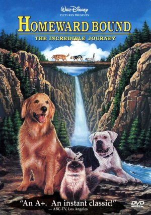 Dog and cat illustrating Homeward Bound