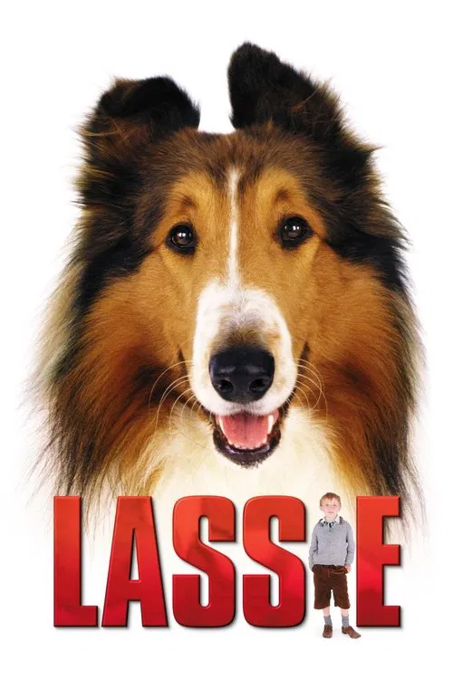 Rough collie illustrating Lassie