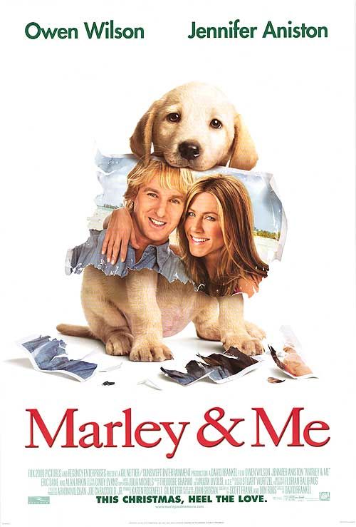 Labrador illustrating Marley & Me