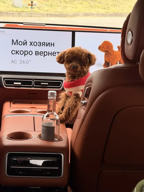 Թեդի
